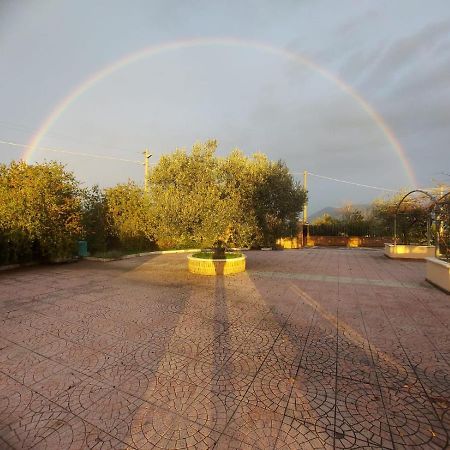 Lisandro Wine Resort Apartments Caserta Castel Campagnano Kültér fotó