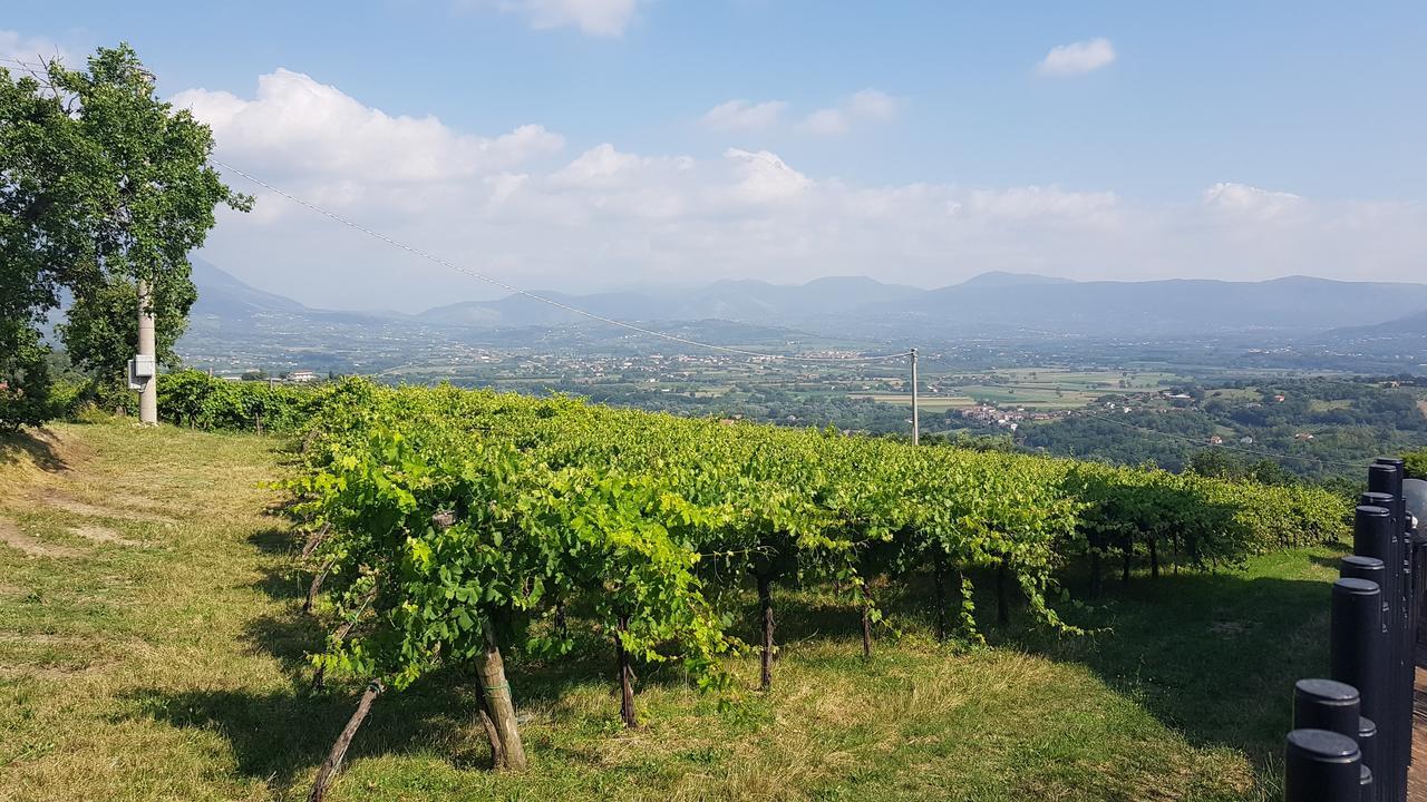Lisandro Wine Resort Apartments Caserta Castel Campagnano Kültér fotó