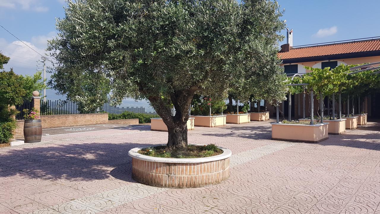 Lisandro Wine Resort Apartments Caserta Castel Campagnano Kültér fotó