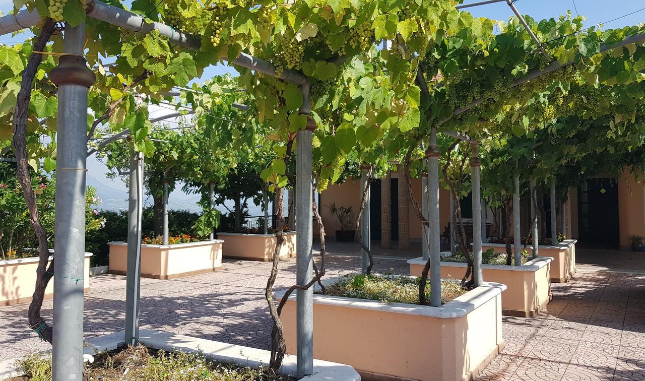 Lisandro Wine Resort Apartments Caserta Castel Campagnano Kültér fotó